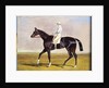 Lucetta' with J. Robinson Up, 1834 by John Frederick Herring Snr