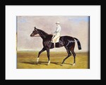 Lucetta' with J. Robinson Up, 1834 by John Frederick Herring Snr