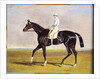 Lucetta' with J. Robinson Up, 1834 by John Frederick Herring Snr