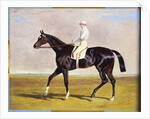 Lucetta' with J. Robinson Up, 1834 by John Frederick Herring Snr