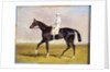 Lucetta' with J. Robinson Up, 1834 by John Frederick Herring Snr