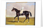 Lucetta' with J. Robinson Up, 1834 by John Frederick Herring Snr