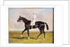 Lucetta' with J. Robinson Up, 1834 by John Frederick Herring Snr