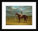 The Racehorse 'The Colonel' with William Scott Up by John Frederick Herring Snr