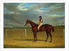 The Racehorse 'The Colonel' with William Scott Up by John Frederick Herring Snr