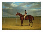 The Racehorse 'The Colonel' with William Scott Up by John Frederick Herring Snr
