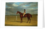 The Racehorse 'The Colonel' with William Scott Up by John Frederick Herring Snr