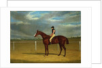 The Racehorse 'The Colonel' with William Scott Up by John Frederick Herring Snr