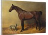 A Bay Hunter and a Spotted Dog in a Stable Interior, 1846 by John Frederick Herring Snr