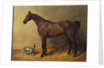 A Bay Hunter and a Spotted Dog in a Stable Interior, 1846 by John Frederick Herring Snr