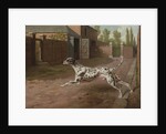 A Dalmation Running in a Stable Yard by Philip Reinagle