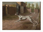 A Dalmation Running in a Stable Yard by Philip Reinagle