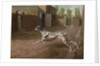 A Dalmation Running in a Stable Yard by Philip Reinagle