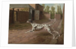 A Dalmation Running in a Stable Yard by Philip Reinagle