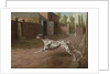 A Dalmation Running in a Stable Yard by Philip Reinagle