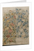 Rose, design for chintz by William Morris
