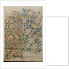 Rose, design for chintz by William Morris