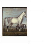 A Grey Mare and a Foal in an Extensive Hilly Landscape by Peter Tillemans