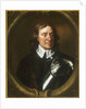 Portrait of Oliver Cromwell by Peter Lely