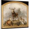 Scene in Braemar - Highland Deer by Edwin Landseer
