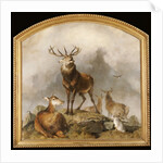 Scene in Braemar - Highland Deer by Edwin Landseer