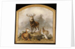 Scene in Braemar - Highland Deer by Edwin Landseer