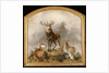 Scene in Braemar - Highland Deer by Edwin Landseer