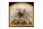 Scene in Braemar - Highland Deer by Edwin Landseer