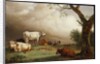 Cattle in a field, with travellers in a wagon on a track beyond and a church tower in the distance, a rain storm approaching, 1652 by Paulus Potter