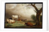 Cattle in a field, with travellers in a wagon on a track beyond and a church tower in the distance, a rain storm approaching, 1652 by Paulus Potter