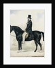 Portrait of a gentleman in a top hat, seated on a black hunter by English School