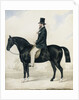 Portrait of a gentleman in a top hat, seated on a black hunter by English School