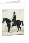 Portrait of a gentleman in a top hat, seated on a black hunter by English School