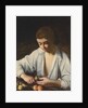 A boy Peeling Fruit, c.1592-3 by Michelangelo Caravaggio