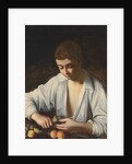 A boy Peeling Fruit, c.1592-3 by Michelangelo Caravaggio