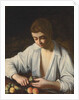 A boy Peeling Fruit, c.1592-3 by Michelangelo Caravaggio