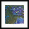 Nymphéas en fleur, 1914-17 by Claude Monet