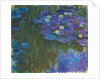 Nymphéas en fleur, 1914-17 by Claude Monet