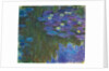 Nymphéas en fleur, 1914-17 by Claude Monet