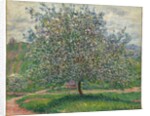 Le Pommier, 1879 by Claude Monet
