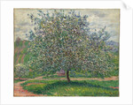 Le Pommier, 1879 by Claude Monet