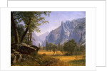 Yosemite Valley by Albert Bierstadt
