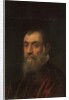 Portrait of a bearded man, bust-length, in a red gown by Jacopo Robusti Tintoretto