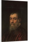 Portrait of a bearded man, bust-length, in a red gown by Jacopo Robusti Tintoretto