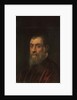 Portrait of a bearded man, bust-length, in a red gown by Jacopo Robusti Tintoretto