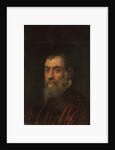 Portrait of a bearded man, bust-length, in a red gown by Jacopo Robusti Tintoretto