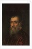 Portrait of a bearded man, bust-length, in a red gown by Jacopo Robusti Tintoretto