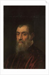 Portrait of a bearded man, bust-length, in a red gown by Jacopo Robusti Tintoretto