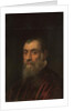 Portrait of a bearded man, bust-length, in a red gown by Jacopo Robusti Tintoretto