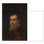 Portrait of a bearded man, bust-length, in a red gown by Jacopo Robusti Tintoretto